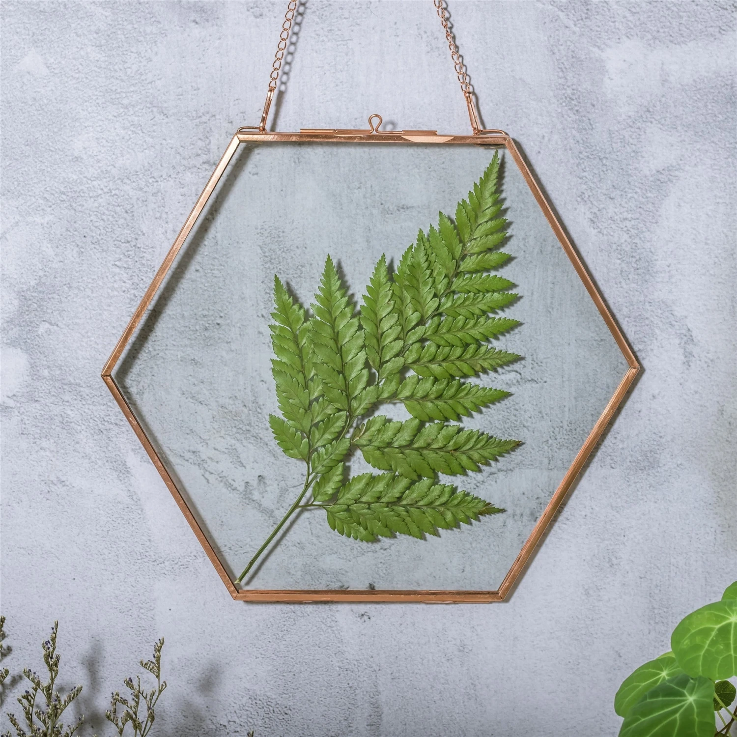 Hanging Hexagon Herbarium Copper Glass Frame For Pressed Flowers Dried Flowers Floating Frame 3 Hanging Hexagon Herbarium Copper Glass Frame For Pressed Flowers Dried Flowers Floating Frame