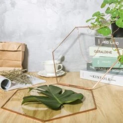 Hanging Hexagon Herbarium Copper Glass Frame For Pressed Flowers Dried Flowers Floating Frame 20 Hanging Hexagon Herbarium Copper Glass Frame For Pressed Flowers Dried Flowers Floating Frame -Terrarium Plant Hub 20200409017 1