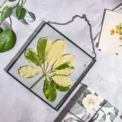 Handmade Black Large Wall Hanging Brass Glass Artwork Certificate Photo Display Floating Frame 16 Handmade Black Large Wall Hanging Brass Glass Artwork Certificate Photo Display Floating Frame -Terrarium Plant Hub 20200409024 3