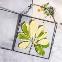 Handmade Black Large Wall Hanging Brass Glass Artwork Certificate Photo Display Floating Frame 15 Handmade Black Large Wall Hanging Brass Glass Artwork Certificate Photo Display Floating Frame -Terrarium Plant Hub 20200409024 4