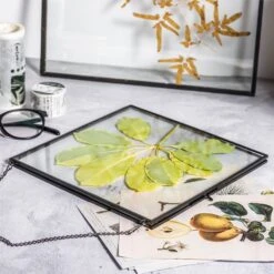 Handmade Black Large Wall Hanging Brass Glass Artwork Certificate Photo Display Floating Frame 17 Handmade Black Large Wall Hanging Brass Glass Artwork Certificate Photo Display Floating Frame -Terrarium Plant Hub 20200409024 6