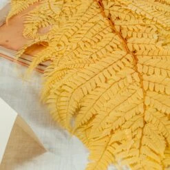 Preserved Large Fern Parathelypteris Glanduligera, Gold, 5 Pcs, 55cm Long, 35cm Width, For DIY