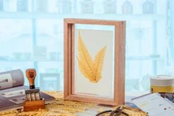 Preserved Large Fern Parathelypteris Glanduligera, Gold, 5 Pcs, 55cm Long, 35cm Width, For DIY -Terrarium Plant Hub 20200518014 5