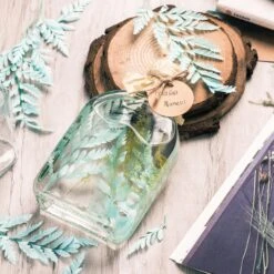 Preserved Pressed Flower Davallia Mariesii, Squirrel's Foot Fern Leaf , Multiple Color, 5 Pcs, 12inches Long, 8inches Width, DIY Material -Terrarium Plant Hub 20200518029 10