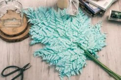 Preserved Pressed Flower Davallia Mariesii, Squirrel's Foot Fern Leaf , Multiple Color, 5 Pcs, 12inches Long, 8inches Width, DIY Material -Terrarium Plant Hub 20200518029 2