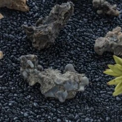 Black Natural Polished Pebbles For Terrarium, Bonsai, Small Planters, Moss, Fern, Succulents -Terrarium Plant Hub 2020072800 5