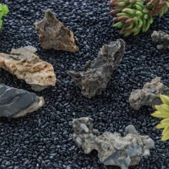Black Natural Polished Pebbles For Terrarium, Bonsai, Small Planters, Moss, Fern, Succulents -Terrarium Plant Hub 2020072800 6