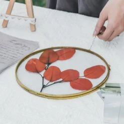 NCYP Wall Hanging Round 8" 10" 12" Herbarium Brass Glass Frame For Pressed Flowers, Poster, Double Glass, Floating Frame -Terrarium Plant Hub 20200909001 4 4b3d5b84 2243 443e bf40 73e0efe4fa9c