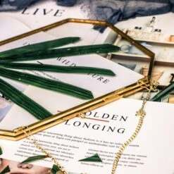 Wall Hanging 8x10" Horizontal Long Octagon Herbarium Brass Double Glass Frame For Pressed Flowers, Dried Flowers, Poster, Floating Frame -Terrarium Plant Hub 20200923001 8x10 8