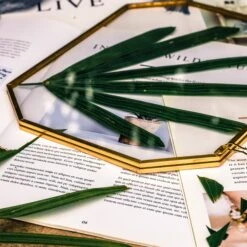 Wall Hanging 8x10" Horizontal Long Octagon Herbarium Brass Double Glass Frame For Pressed Flowers, Dried Flowers, Poster, Floating Frame -Terrarium Plant Hub 20200923001 8x10 9