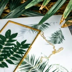 NCYP 4x9" Horizontal Brass Double Glass Picture Frame Wall Hanging, Photo Specimen Card Holder Modern Home Geometric Decor Display Gift -Terrarium Plant Hub 20210107001 6