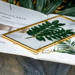 NCYP 4x9" Horizontal Brass Double Glass Picture Frame Wall Hanging, Photo Specimen Card Holder Modern Home Geometric Decor Display Gift -Terrarium Plant Hub 20210107001 7