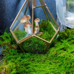 Preserved Feature Like Natural Moss, Fern Moss, Pole Moss Green 20x50cm, For DIY Moss Wall, Moss Terrarium, Moss Centerpiece, Moss Bowl, Centerpiece -Terrarium Plant Hub 20210323006 5