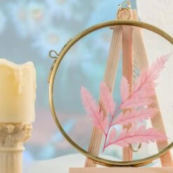 NCYP Wall Hanging Round 5" 4.3" Herbarium Brass Glass Frame For Pressed Flowers, Dried Flowers, Poster, Double Glass, Floating Frame -Terrarium Plant Hub 20210522001 3