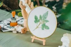 NCYP Wall Hanging Round 8" 10" 12" Herbarium Brass Glass Frame For Pressed Flowers, Poster, Double Glass, Floating Frame -Terrarium Plant Hub 20210522003 6 334df1ef 924a 418f 9068 f08362d433fb