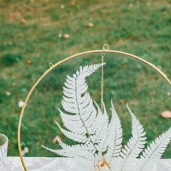 NCYP Wall Hanging Round 8" 10" 12" Herbarium Brass Glass Frame For Pressed Flowers, Poster, Double Glass, Floating Frame -Terrarium Plant Hub 20210522004 6