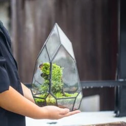 NCYP Irregular Close Geometric Glass Terrarium With Door Tall Teardrop Planter Pot Miniature Moss, Tropical Plants Orchid Container
