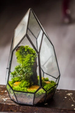 NCYP Irregular Close Geometric Glass Terrarium With Door Tall Teardrop Planter Pot Miniature Moss, Tropical Plants Orchid Container -Terrarium Plant Hub 20210624001 7