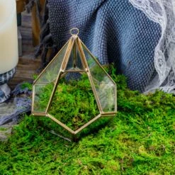 Handmade Hanging Teardrop Shape, Gold, Glass Geomtric Terrarium, Ring Holder Proposal Wedding Ring Box -Terrarium Plant Hub 20210812001 3