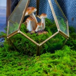 Handmade Hanging Teardrop Shape, Gold, Glass Geomtric Terrarium, Ring Holder Proposal Wedding Ring Box -Terrarium Plant Hub 20210812001 5