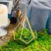 Handmade Hanging Teardrop Shape, Gold, Glass Geomtric Terrarium, Ring Holder Proposal Wedding Ring Box -Terrarium Plant Hub 20210812001 9