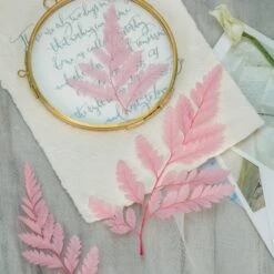 Preserved Pressed Flower Davallia Mariesii, Squirrel's Foot Fern Leaf , Multiple Color, 5 Pcs, 12inches Long, 8inches Width, DIY Material -Terrarium Plant Hub 20210820002 7