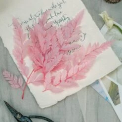 Preserved Pressed Flower Davallia Mariesii, Squirrel's Foot Fern Leaf , Multiple Color, 5 Pcs, 12inches Long, 8inches Width, DIY Material -Terrarium Plant Hub 20210820002 8