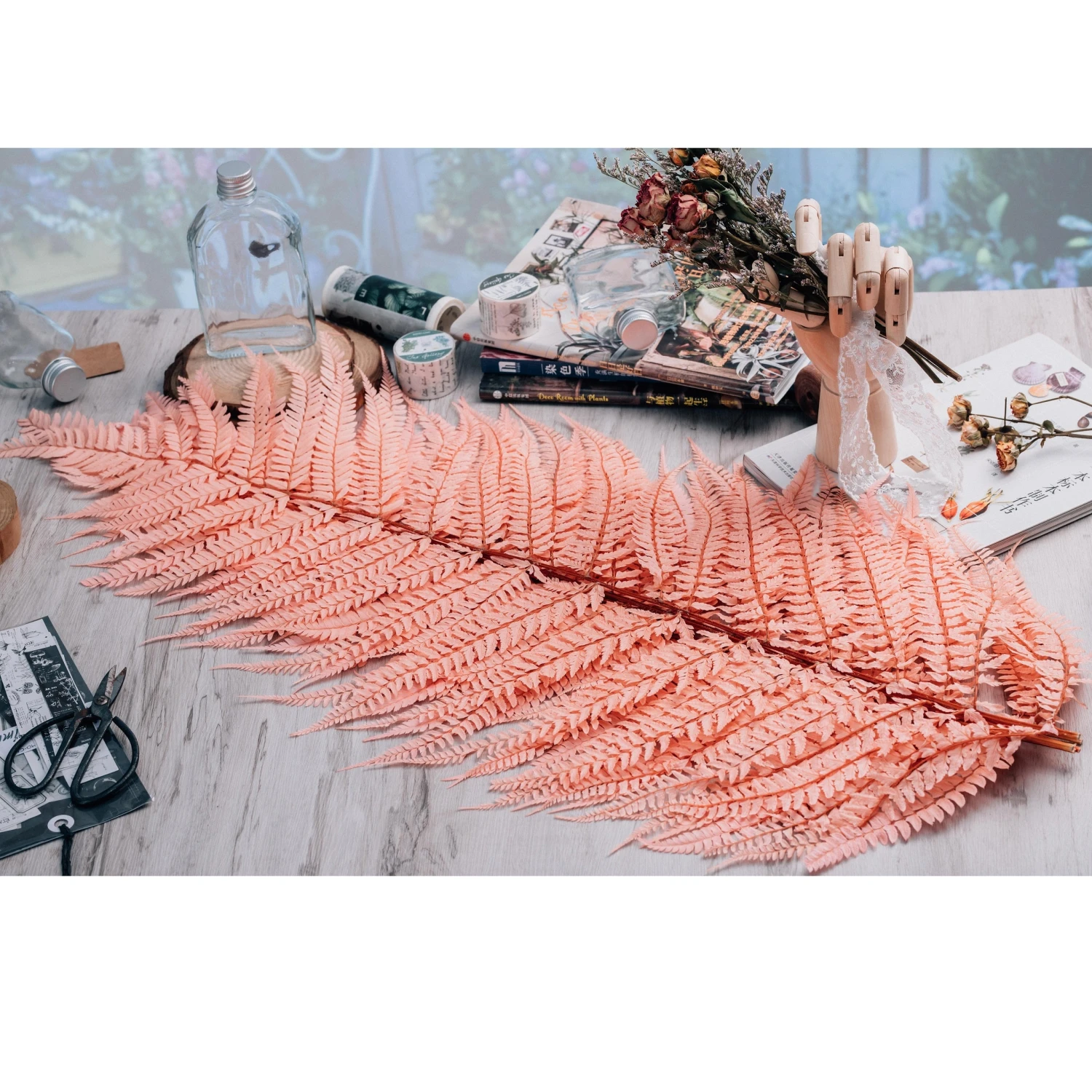 Preserved Pressed Flower Large Fern Branch Parathelypteris Glanduligera, Orange, 5 Pcs, 55cm Long, 35cm Width, DIY Material 4 Preserved Pressed Flower Large Fern Branch Parathelypteris Glanduligera, Orange, 5 Pcs, 55cm Long, 35cm Width, DIY Material - Image 2