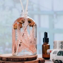 Preserved Pressed Flower Large Fern Branch Parathelypteris Glanduligera, Orange, 5 Pcs, 55cm Long, 35cm Width, DIY Material 14 Preserved Pressed Flower Large Fern Branch Parathelypteris Glanduligera, Orange, 5 Pcs, 55cm Long, 35cm Width, DIY Material -Terrarium Plant Hub 20210831007 7