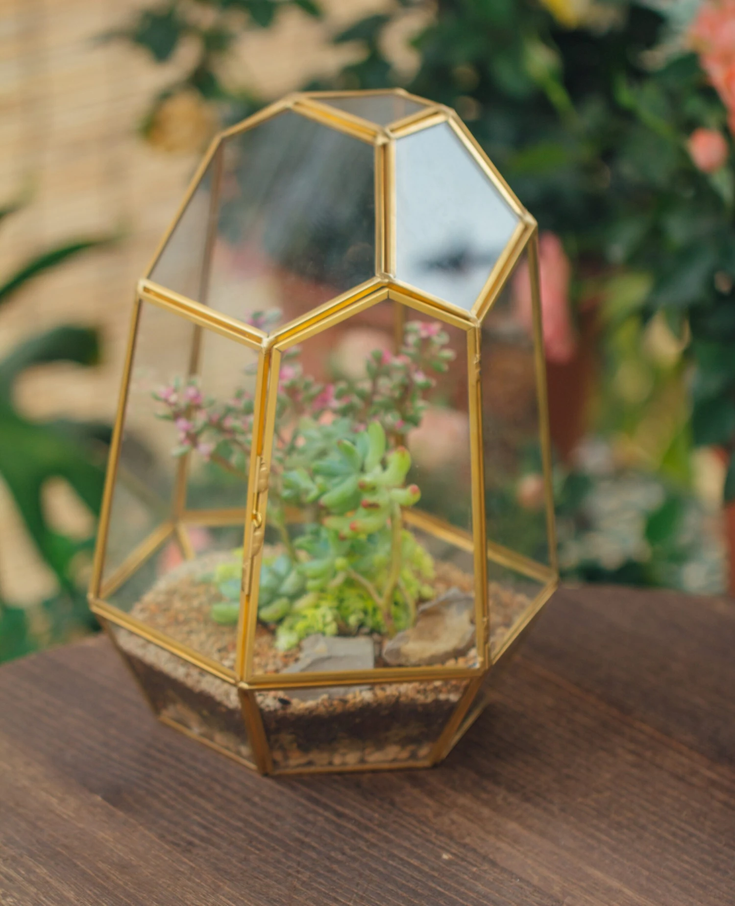 NCYP Close Geometric Glass Terrarium With Door, Brass, Irregular Tall Planter Succulent Cacti Fern Flower Pot 4 NCYP Close Geometric Glass Terrarium With Door, Brass, Irregular Tall Planter Succulent Cacti Fern Flower Pot - Image 2