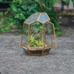 NCYP Close Geometric Glass Terrarium With Door, Brass, Irregular Tall Planter Succulent Cacti Fern Flower Pot 11 NCYP Close Geometric Glass Terrarium With Door, Brass, Irregular Tall Planter Succulent Cacti Fern Flower Pot -Terrarium Plant Hub 20211215003 5