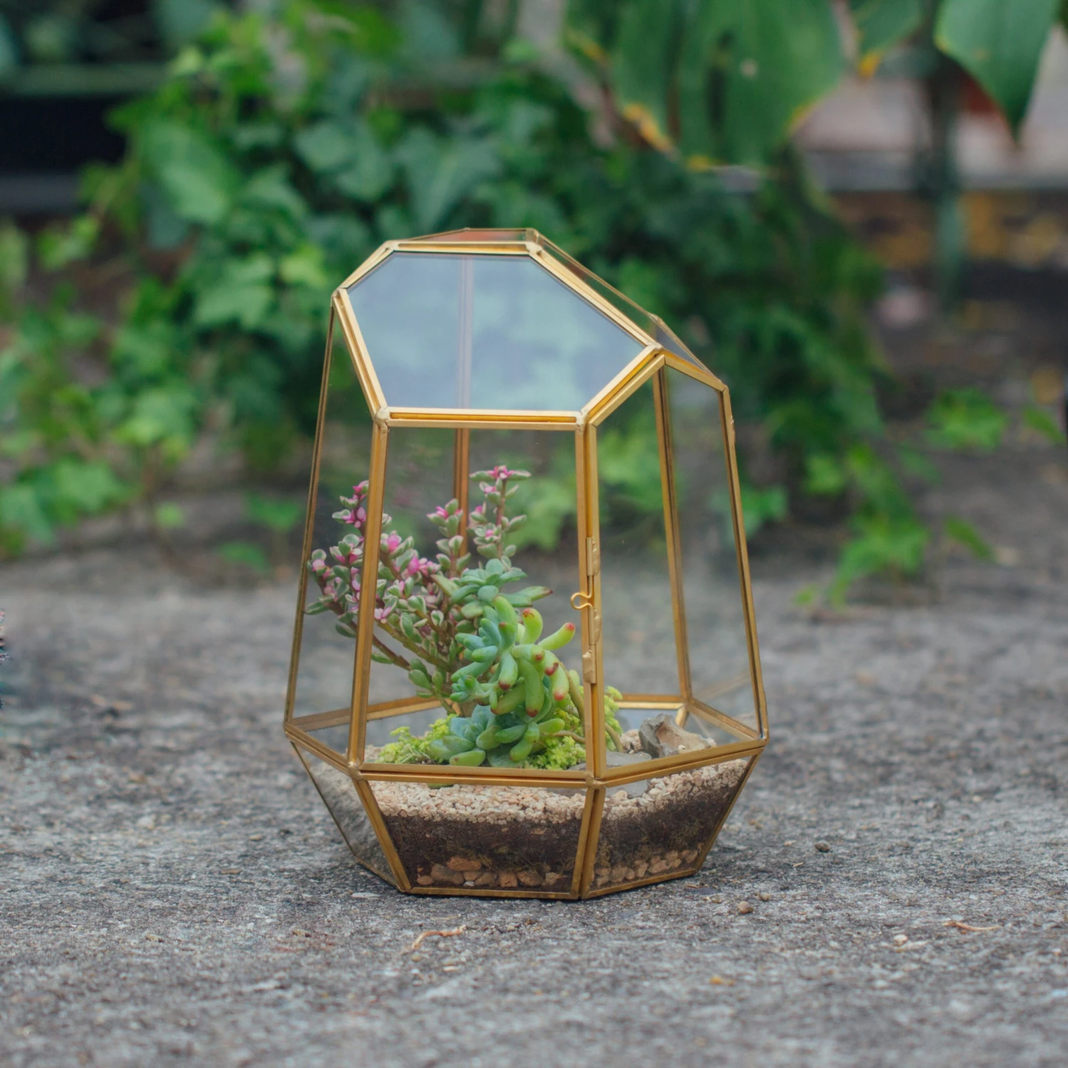 NCYP Close Geometric Glass Terrarium With Door, Brass, Irregular Tall Planter Succulent Cacti Fern Flower Pot 3 NCYP Close Geometric Glass Terrarium With Door, Brass, Irregular Tall Planter Succulent Cacti Fern Flower Pot