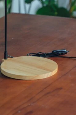 NCYP Customizable Tabletop Natural Wood Round Board LED Grow Display Light Indoor 10W For Terrarium Succulent Fern Bonsai Moss -30cm -Terrarium Plant Hub 20220414001 3