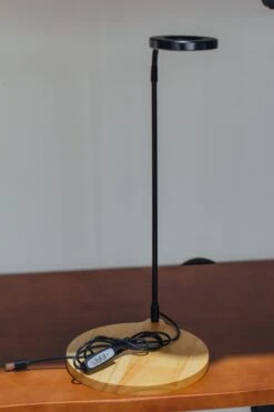 NCYP Customizable Tabletop Natural Wood Round Board LED Grow Display Light Indoor 10W For Terrarium Succulent Fern Bonsai Moss -30cm -Terrarium Plant Hub 20220414001 4