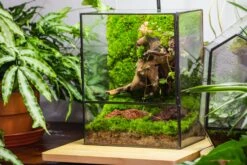 NCYP Close Geometric Glass Terrarium With Door, Tin Sealed Rectangle Tall Moss Wall Planter For Moss Wall, Fern, Landscape -Terrarium Plant Hub 20220425001 12