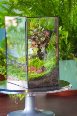 NCYP Close Geometric Glass Terrarium With Door, Tin Sealed Rectangle Tall Moss Wall Planter For Moss Wall, Fern, Landscape -Terrarium Plant Hub 20220425001 21