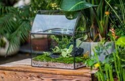 Handmade Unique Closed Terrarium With Arched Roof | HouseShape Closed Planter For Tropical Plants, Moss | Miniature Greenhouse Gift -Terrarium Plant Hub 20220607004 14 03717ca6 dfb7 436e 9bea c5d81e27c9d4