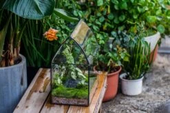 Handmade Unique Closed Terrarium With Arched Roof | HouseShape Closed Planter For Tropical Plants, Moss | Miniature Greenhouse Gift -Terrarium Plant Hub 20220607004 15 00df7b43 5179 496c 9878 18db6b182be3