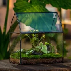 Handmade Unique Closed Terrarium With Arched Roof | HouseShape Closed Planter For Tropical Plants, Moss | Miniature Greenhouse Gift -Terrarium Plant Hub 20220607004 16 45c273ed 8863 47ff 8904 0d1f5c945f90