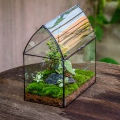 Handmade Unique Closed Terrarium With Arched Roof | HouseShape Closed Planter For Tropical Plants, Moss | Miniature Greenhouse Gift -Terrarium Plant Hub 20220607004 2