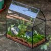 Handmade Unique Closed Terrarium With Arched Roof | HouseShape Closed Planter For Tropical Plants, Moss | Miniature Greenhouse Gift -Terrarium Plant Hub 20220607004 3