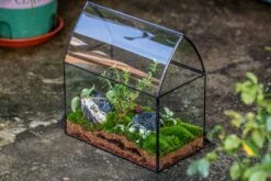 Handmade Unique Closed Terrarium With Arched Roof | HouseShape Closed Planter For Tropical Plants, Moss | Miniature Greenhouse Gift -Terrarium Plant Hub 20220607004 3 7d2897c0 6d93 4a53 9525 ba44d04ee581