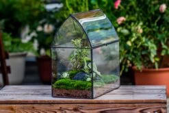 Handmade Unique Closed Terrarium With Arched Roof | HouseShape Closed Planter For Tropical Plants, Moss | Miniature Greenhouse Gift -Terrarium Plant Hub 20220607004 5 d711b16b 3418 4c59 9506 b04e257f015f