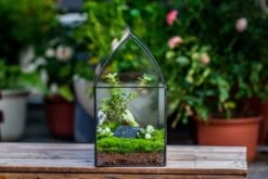 Handmade Unique Closed Terrarium With Arched Roof | HouseShape Closed Planter For Tropical Plants, Moss | Miniature Greenhouse Gift -Terrarium Plant Hub 20220607004 6 02b1f451 c7e9 4569 8290 c55aeebc074c