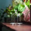 Heart Shape Tip Glass Cloche With Glass Base And Metal Gold Base Set -Terrarium Plant Hub 20220908013 8 4ae9d8fe 5123 4818 9095 08303da0dd34