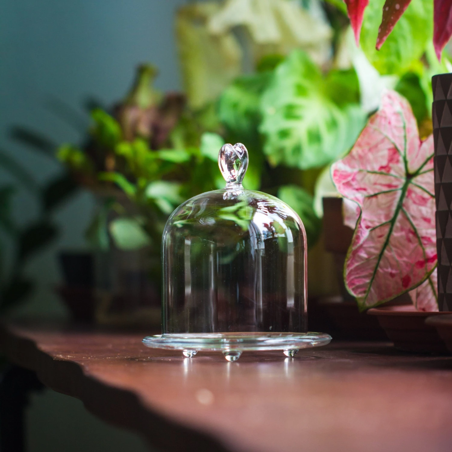 Heart Shape Tip Glass Cloche With Glass Base And Metal Gold Base Set 3 Heart Shape Tip Glass Cloche With Glass Base And Metal Gold Base Set