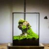8x8x10" NCYP Basic Rectangle Close Geometric Glass Tin Terrarium, Planter For Moss Wall, Fern, Landscape, No Plants -Terrarium Plant Hub 20221118029 2