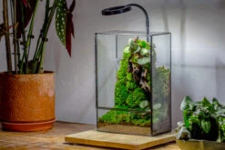 8x12" Close Geometric Glass Terrarium With Door, Tin Sealed Rectangle Tall Planter For Moss Wall, Fern, Landscape Multiple Size, No Plants -Terrarium Plant Hub 20221118037 1