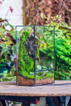 8x12" Close Geometric Glass Terrarium With Door, Tin Sealed Rectangle Tall Planter For Moss Wall, Fern, Landscape Multiple Size, No Plants -Terrarium Plant Hub 20221118037 14