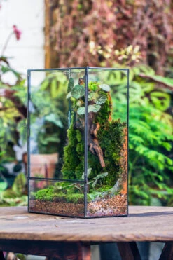 8x12" Close Geometric Glass Terrarium With Door, Tin Sealed Rectangle Tall Planter For Moss Wall, Fern, Landscape Multiple Size, No Plants -Terrarium Plant Hub 20221118037 16